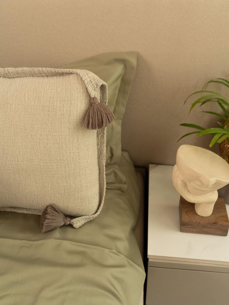 MerakiSAGE3.jpg
