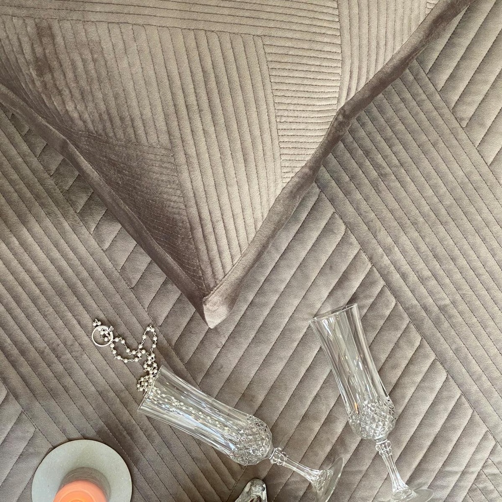 REGAL-SILVER-1.jpg