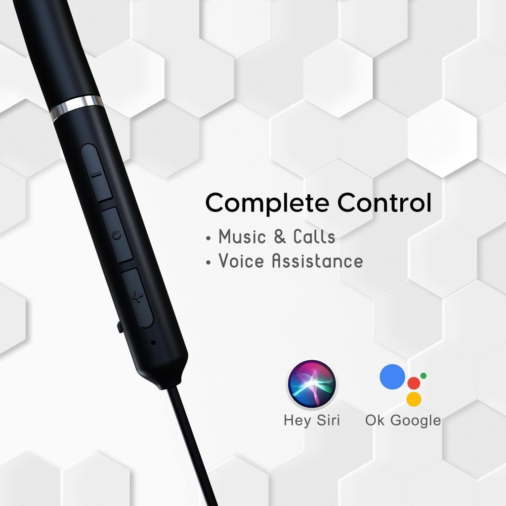 slide04voiceassistant.jpg