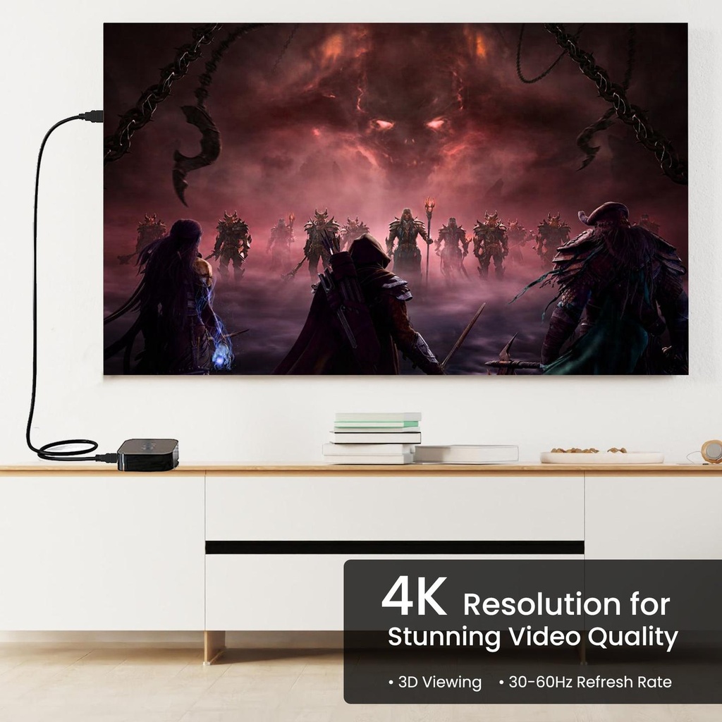 HDMI Cable