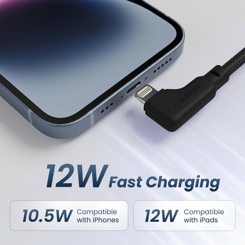 ABLLS-10 L-Shape Lightning Cable