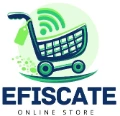 FISCATE TECH SOLUTIONS PRIVATE LIMITED